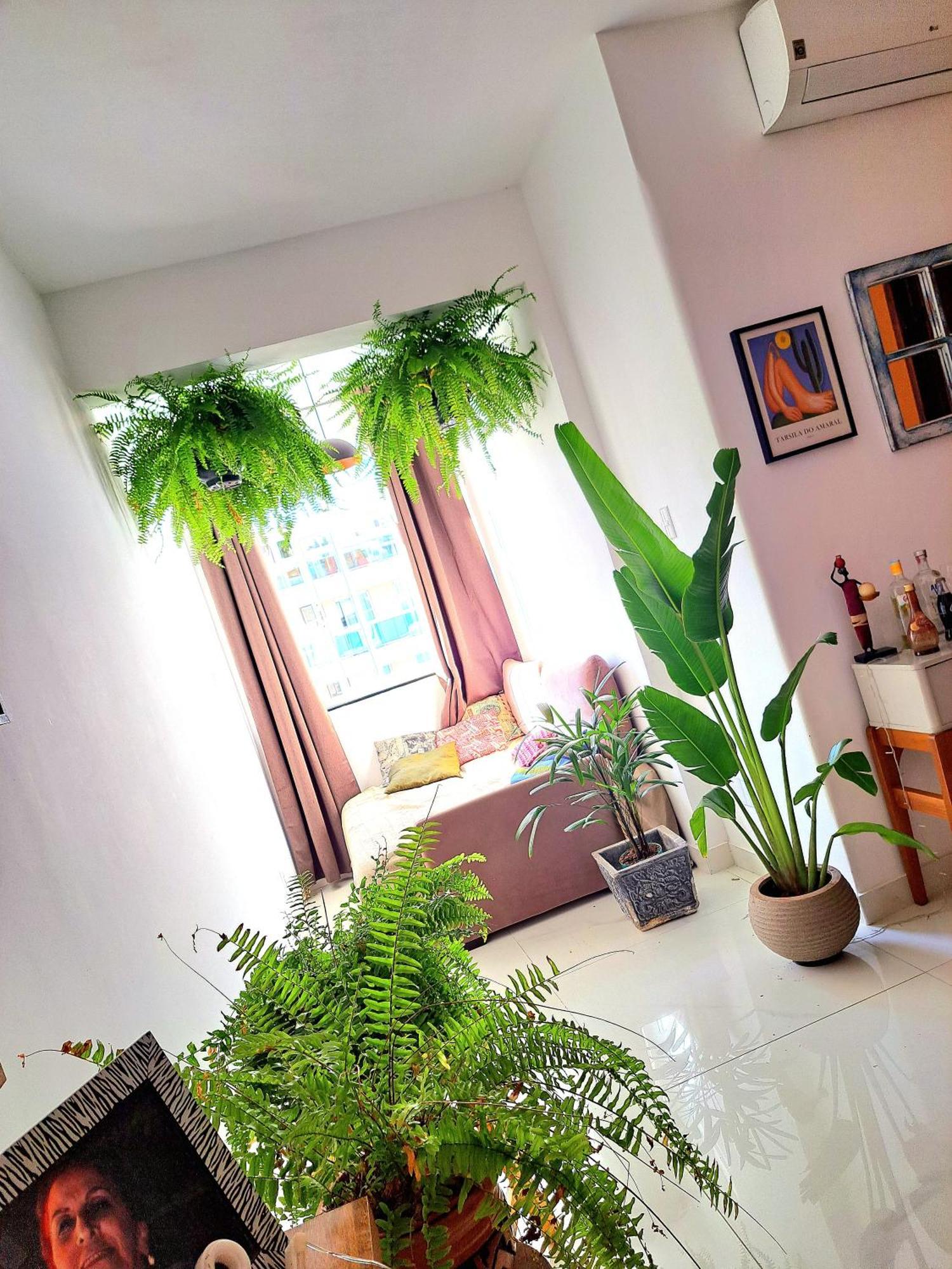 Quarto Com Anfitriao Rj ริโอเดจาเนโร ภายนอก รูปภาพ